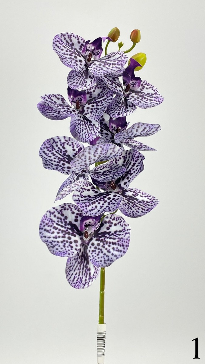 Орхидея 373729  Интернет-магазин Feron Flower 