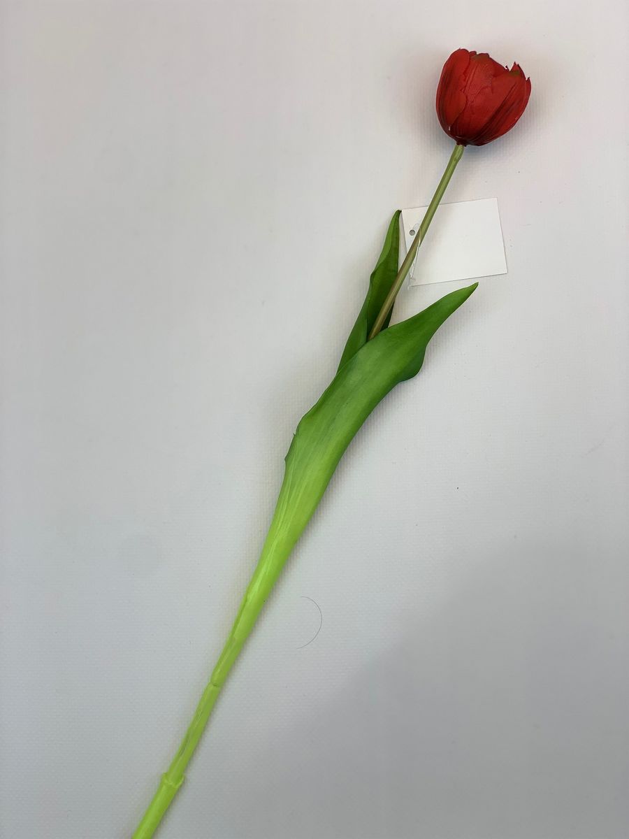 Тюльпан K04039  Интернет-магазин Feron Flower 