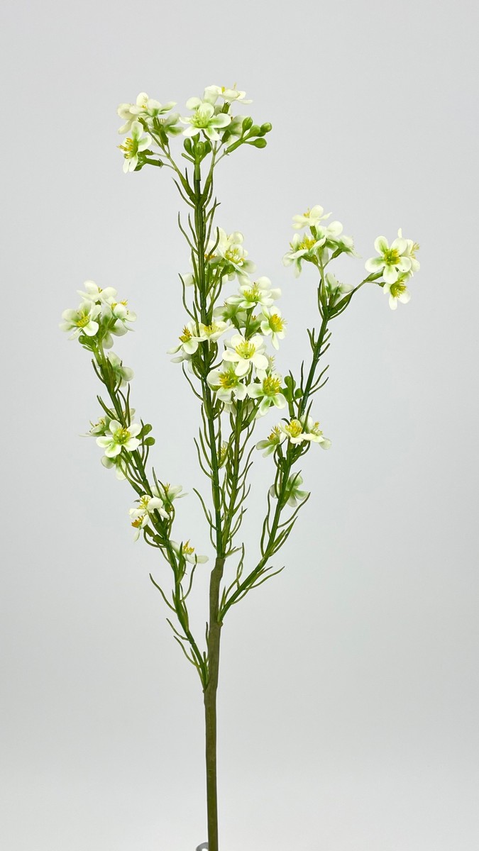 Цветок белый 587301  Интернет-магазин Feron Flower 