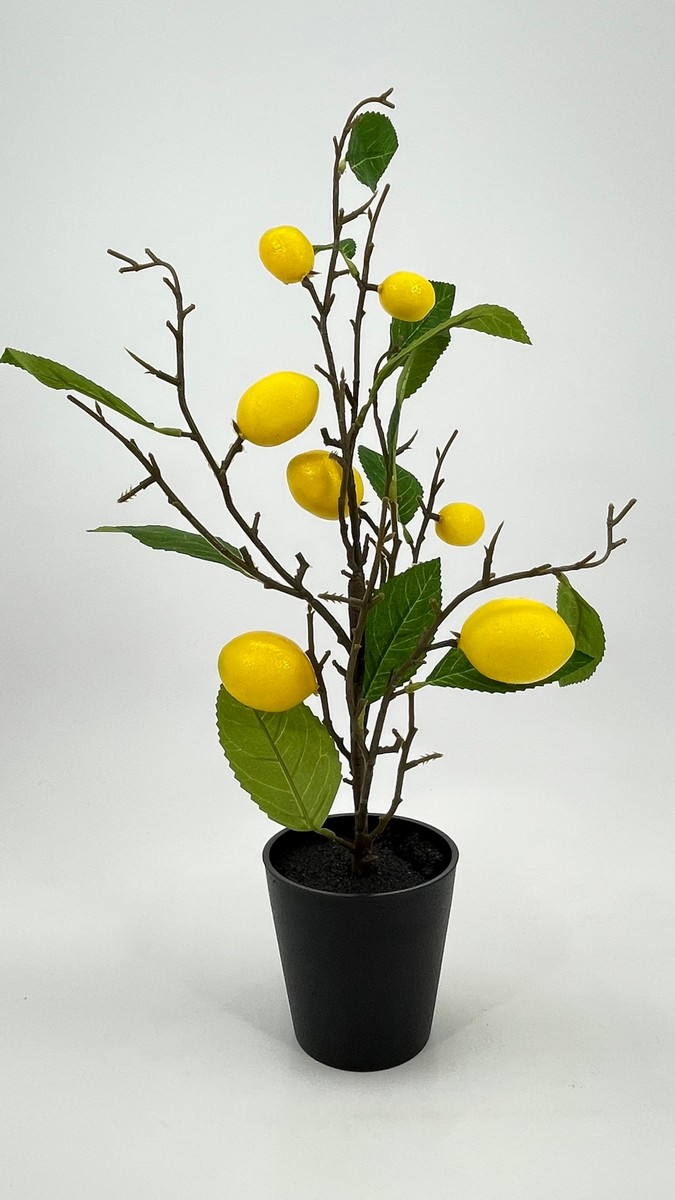 Лимонное дерево HG6615A  Интернет-магазин Feron Flower 