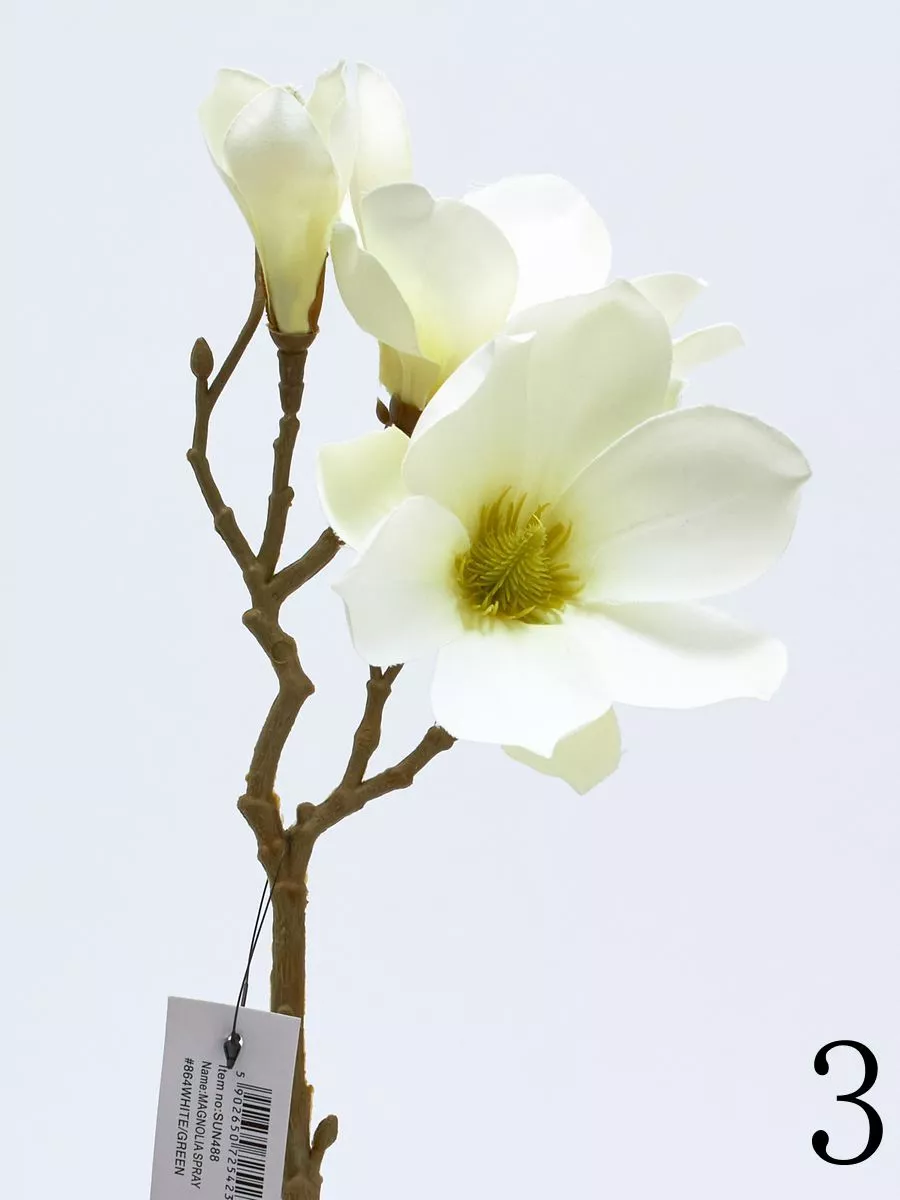 Магнолия SUN488  Интернет-магазин Feron Flower 