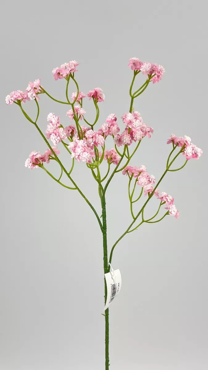 Гипсофила HC145  Интернет-магазин Feron Flower 