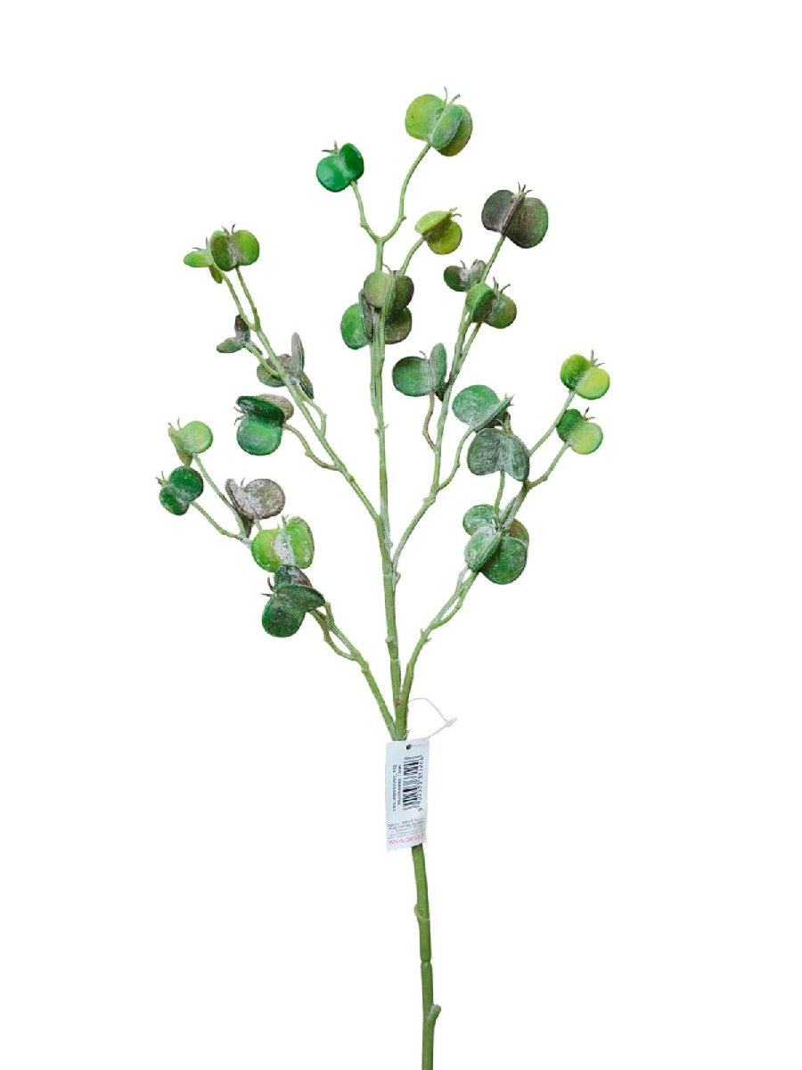 Эвкалипт 188CAN9335BS  Интернет-магазин Feron Flower 