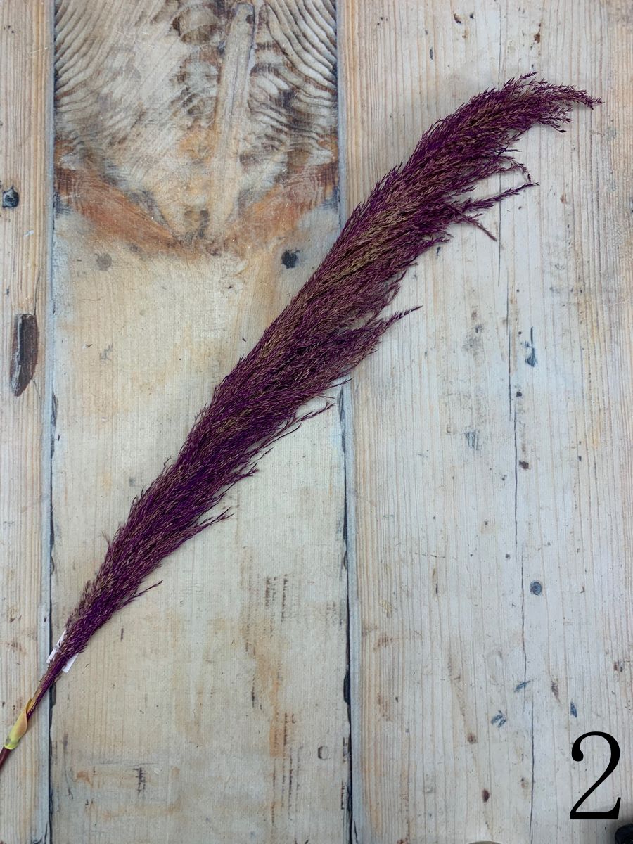 Трава пампасная JA135-QY-0065  Интернет-магазин Feron Flower 