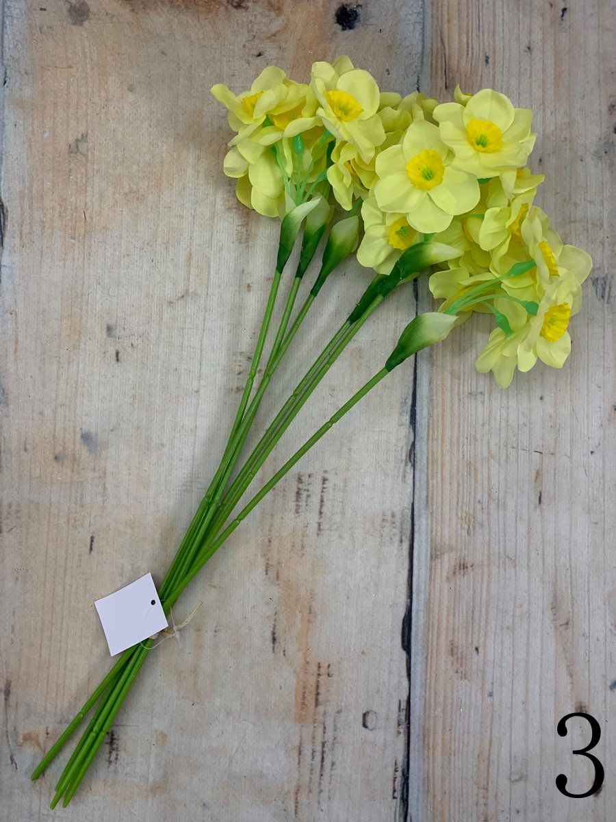 Нарцисс ZON00187  Интернет-магазин Feron Flower 