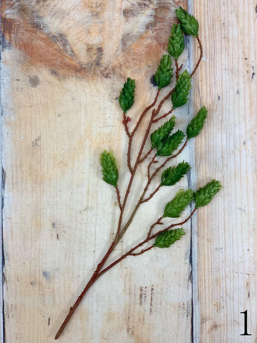 Хмель ART11280  Интернет-магазин Feron Flower 