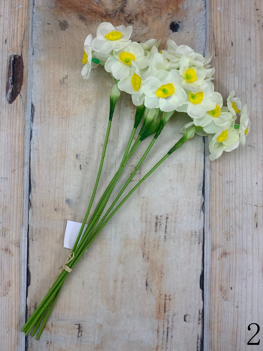 Нарцисс ZON00187  Интернет-магазин Feron Flower 