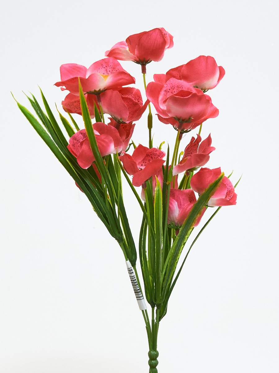 Орхидея 1411109  Интернет-магазин Feron Flower 