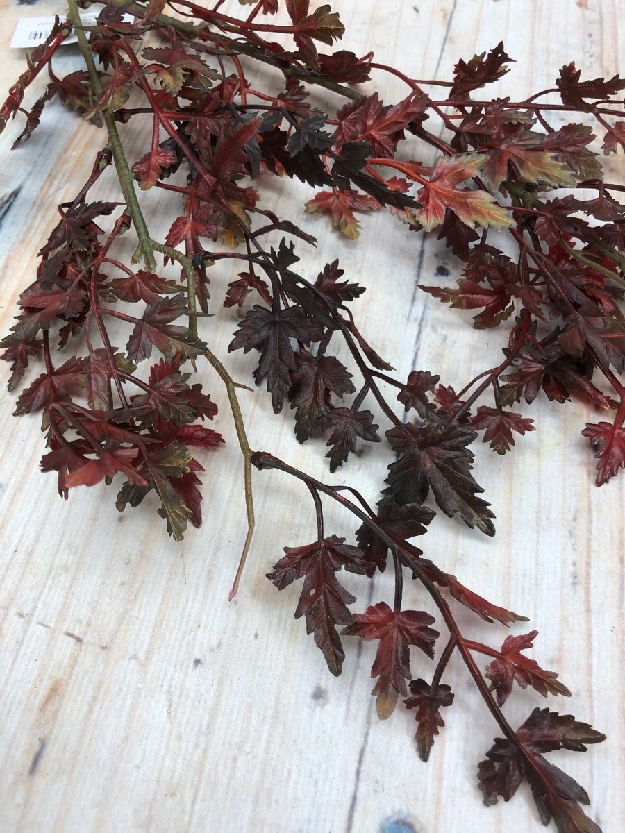 Ветка клен AA007  Интернет-магазин Feron Flower 