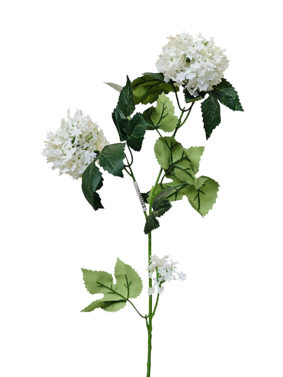 Калина AJ6610  Интернет-магазин Feron Flower 