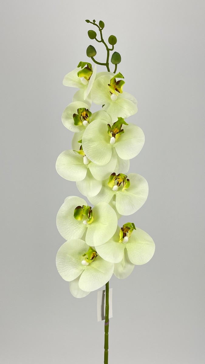 Орхидея FL-QH028  Интернет-магазин Feron Flower 