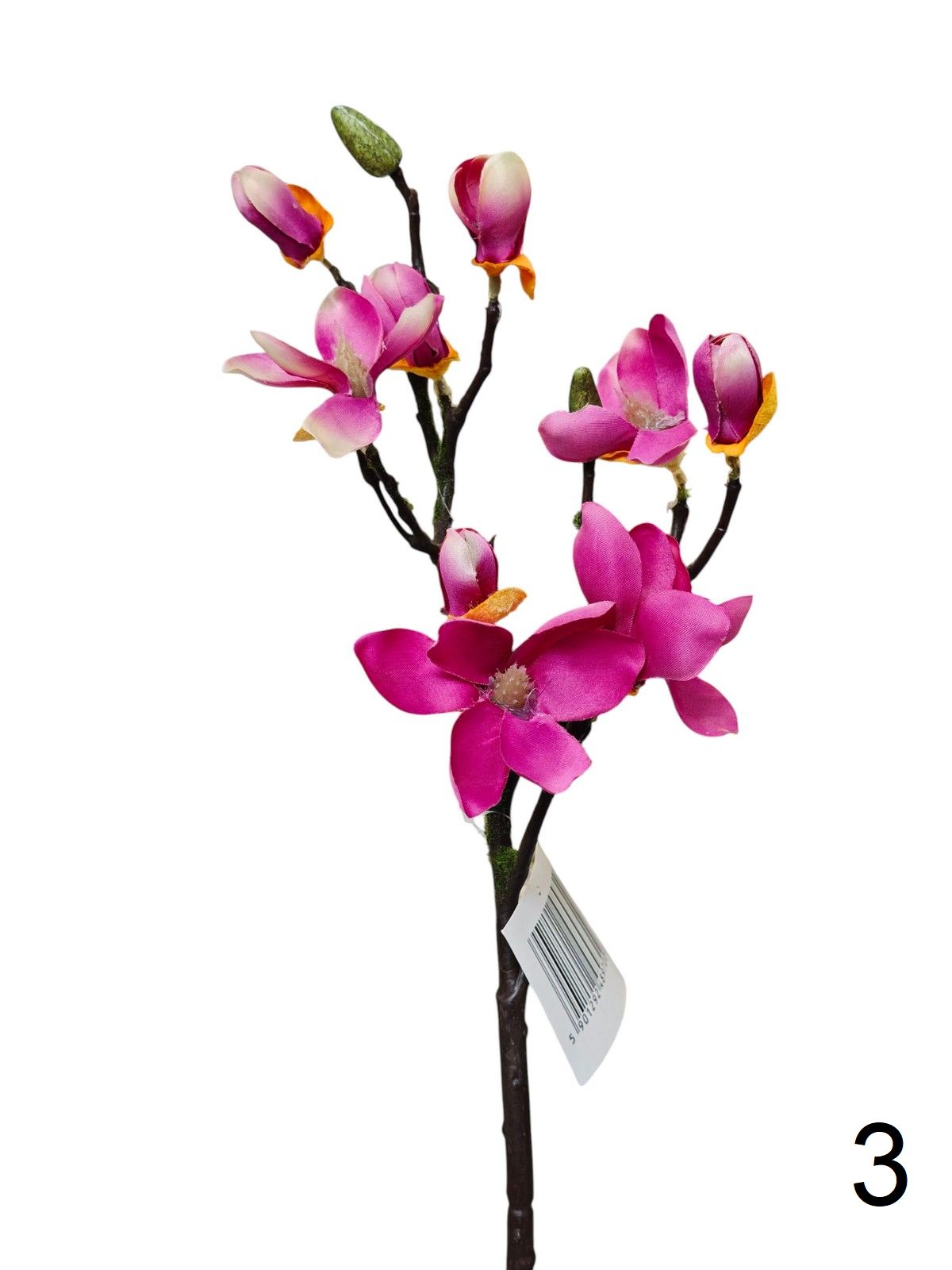 Магнолия 133122  Интернет-магазин Feron Flower 