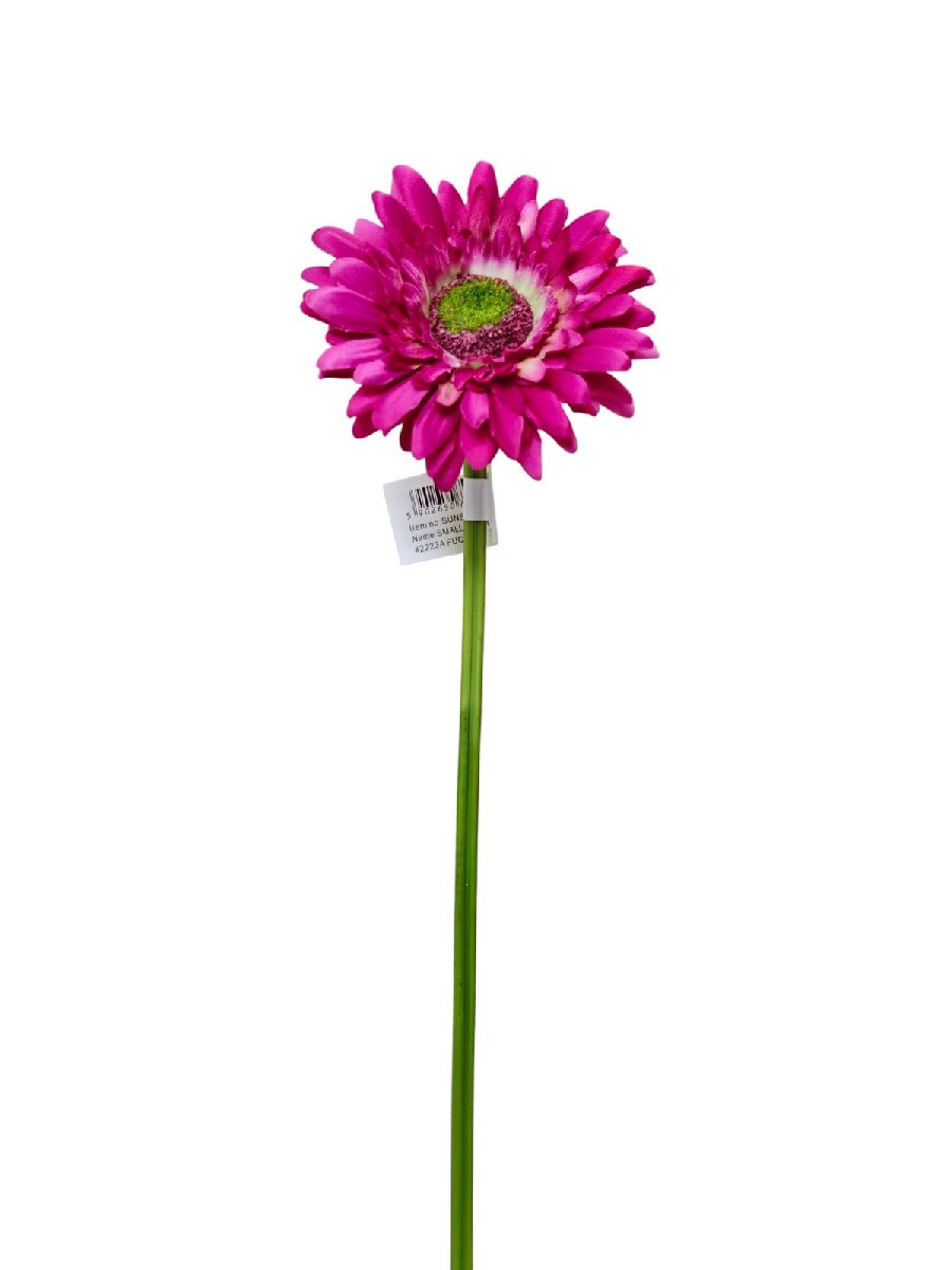 Гербера SUN529  Интернет-магазин Feron Flower 