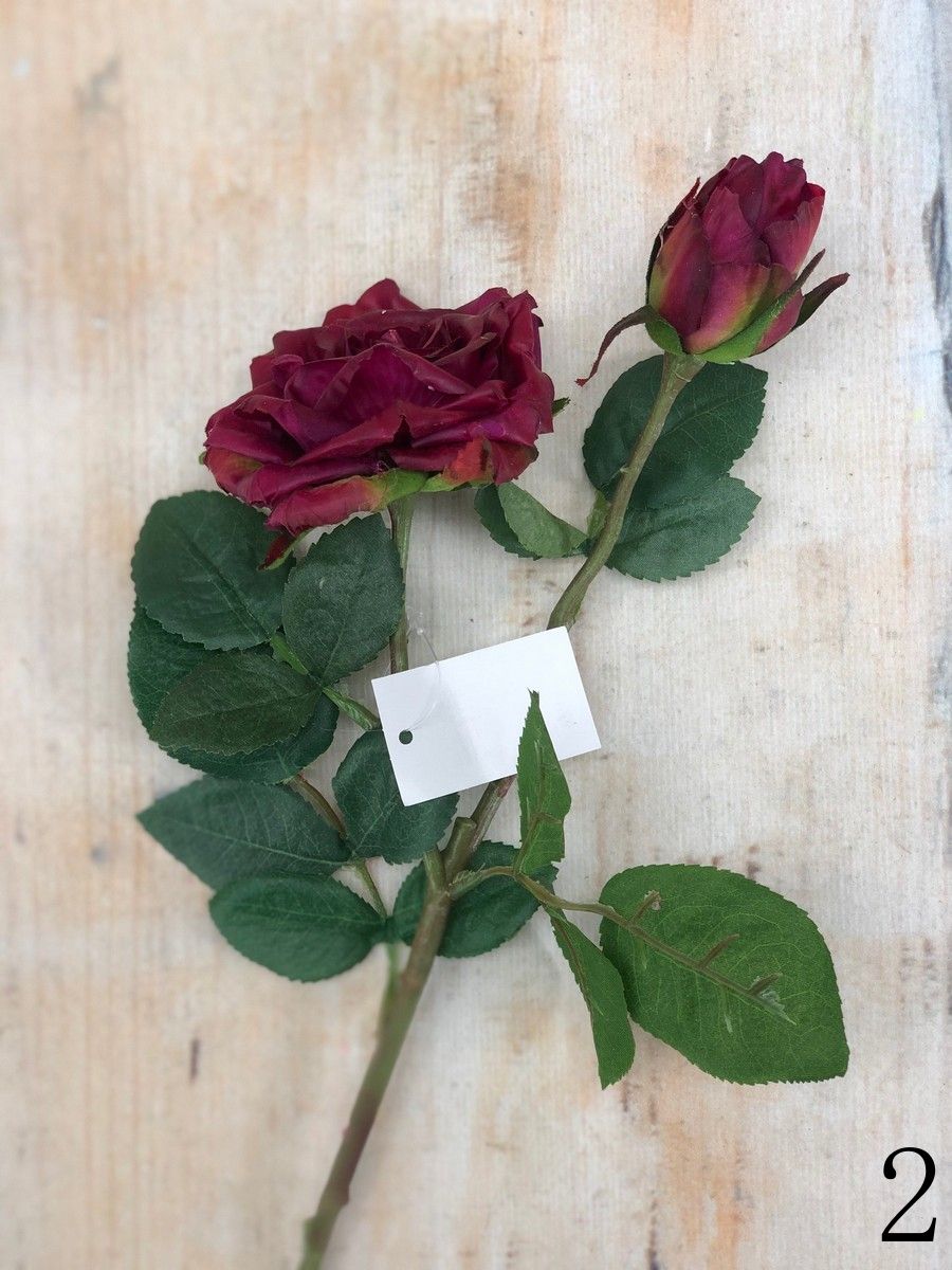 Роза VIP921  Интернет-магазин Feron Flower 