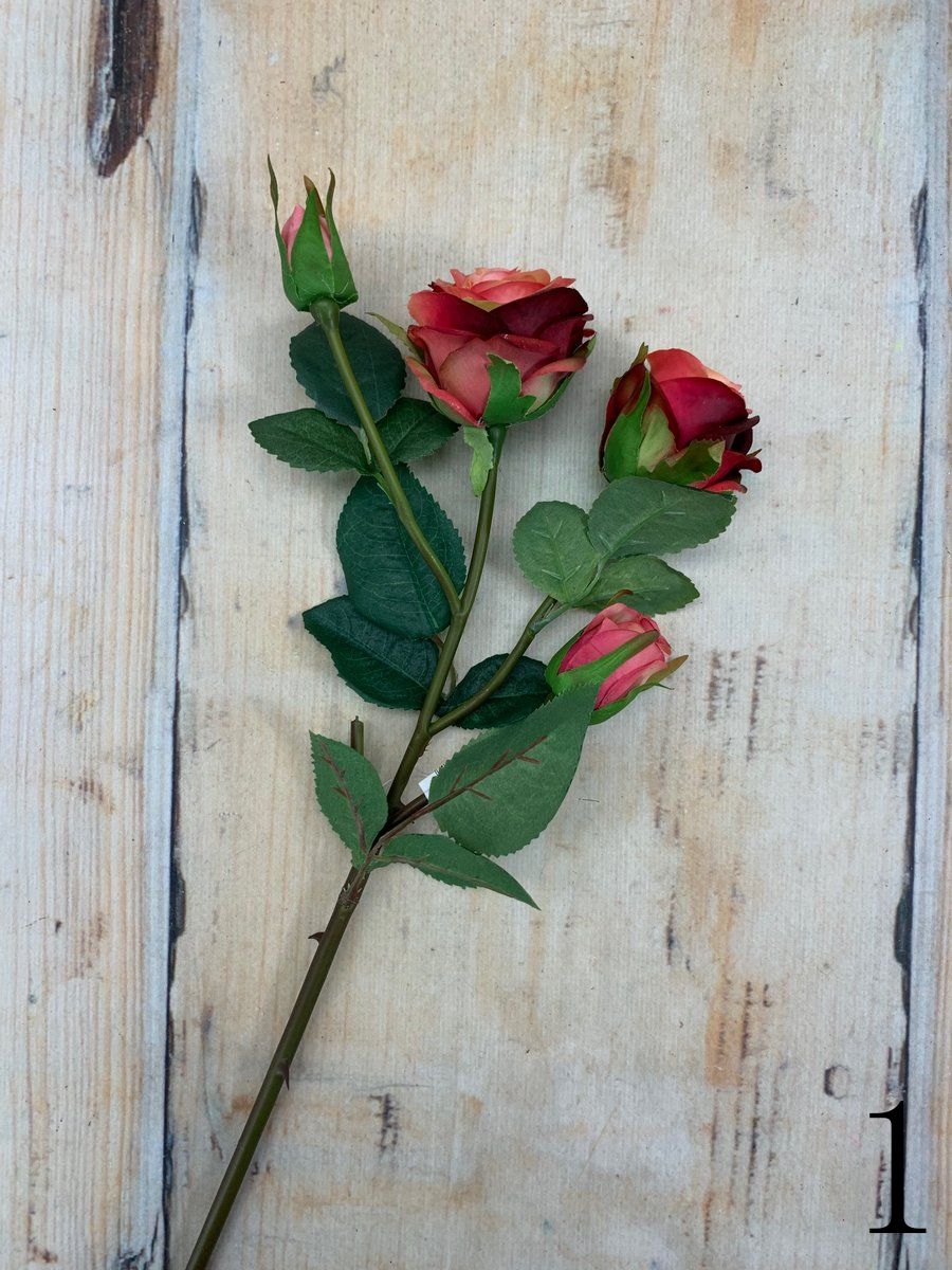 Роза latex GK327  Интернет-магазин Feron Flower 