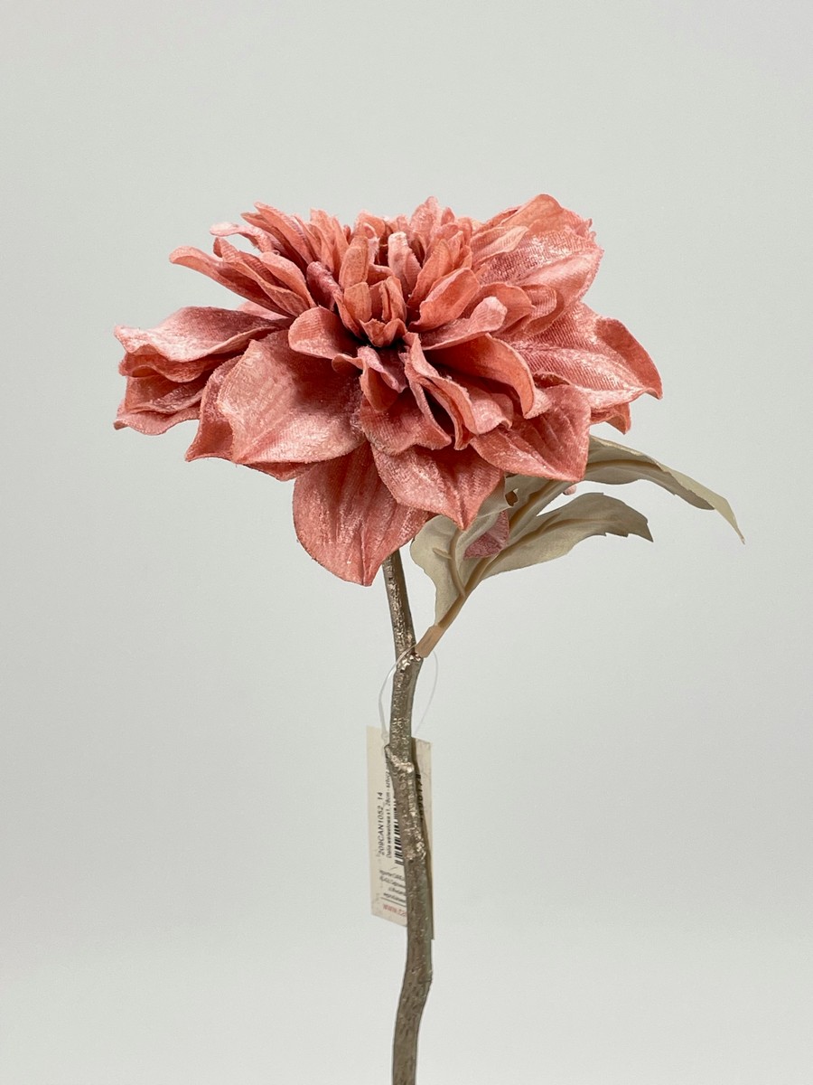 Далия 209CAN1052  Интернет-магазин Feron Flower 