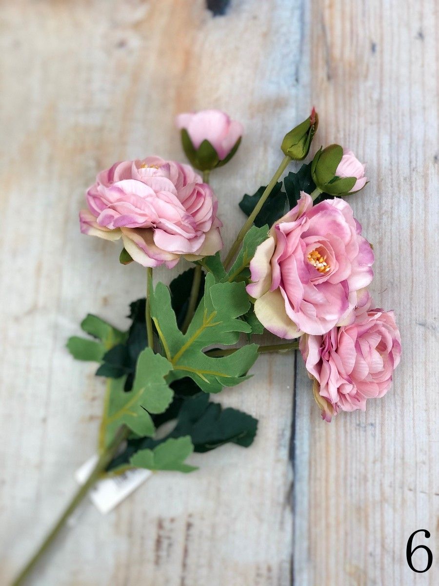 Ранункул CZ045  Интернет-магазин Feron Flower 