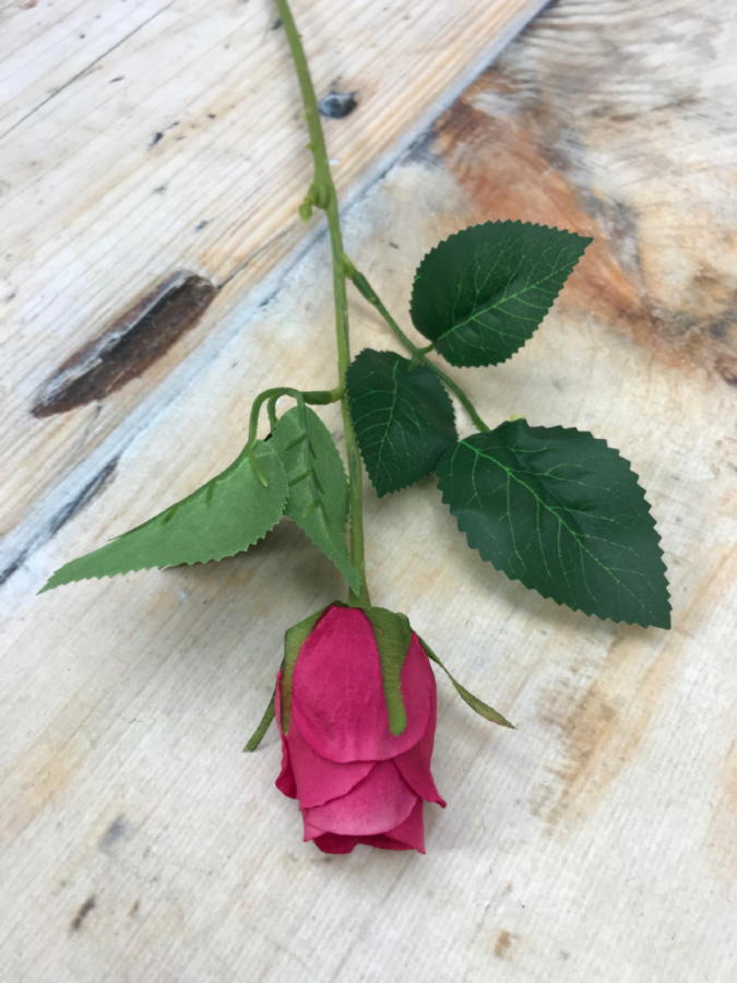 Роза MY85  Интернет-магазин Feron Flower 