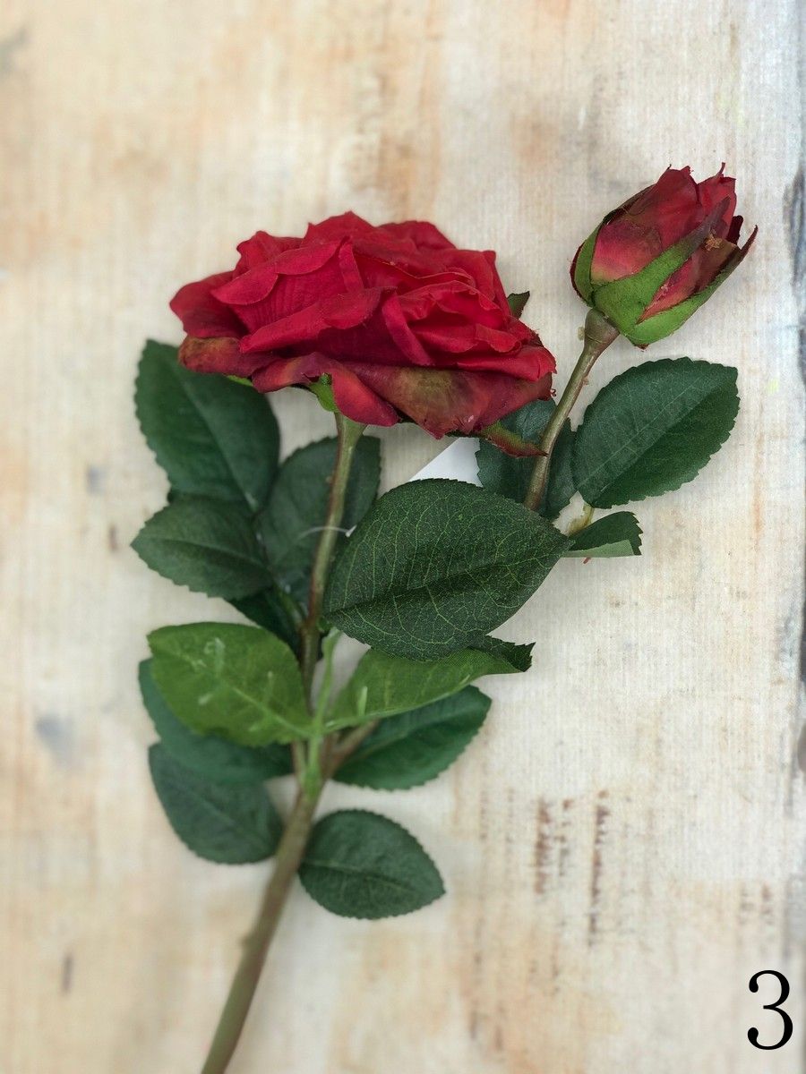 Роза VIP921  Интернет-магазин Feron Flower 