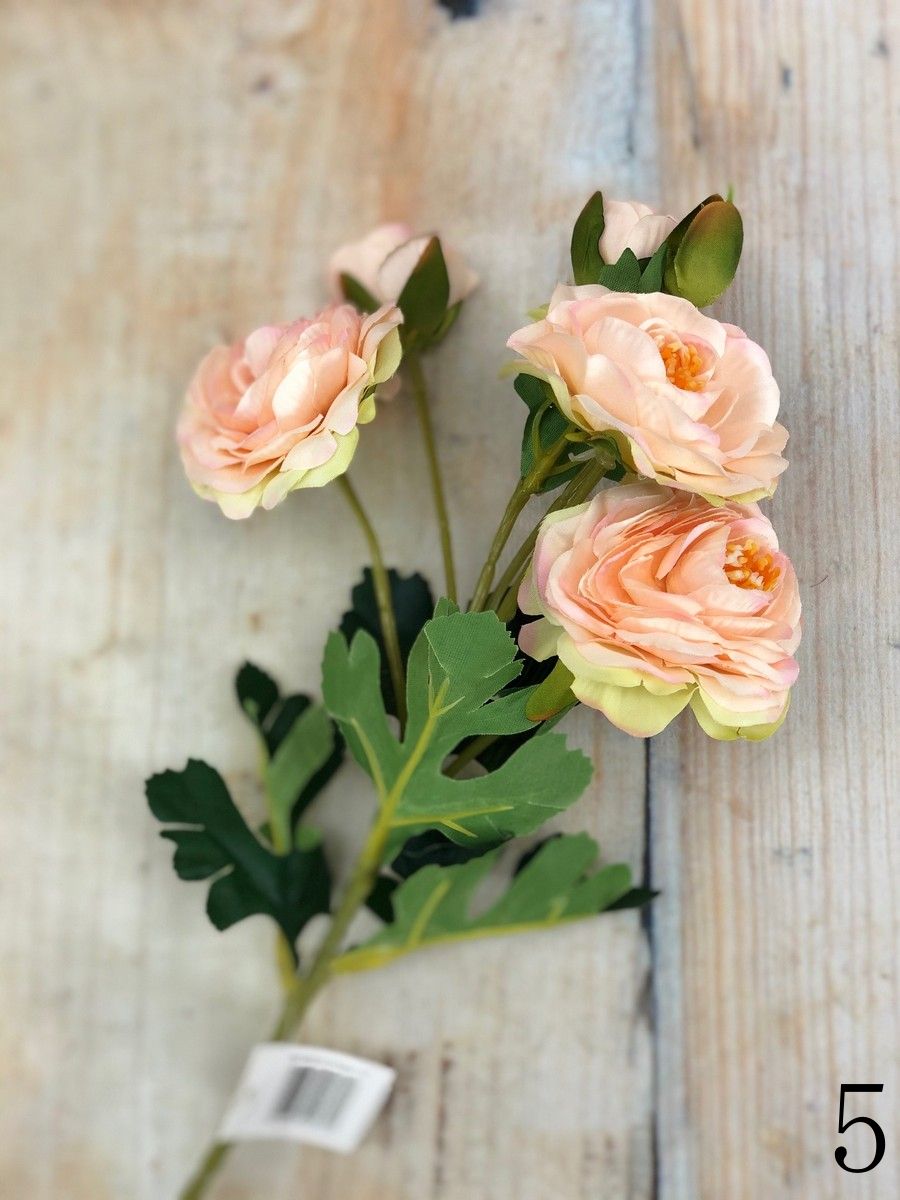 Ранункул CZ045  Интернет-магазин Feron Flower 