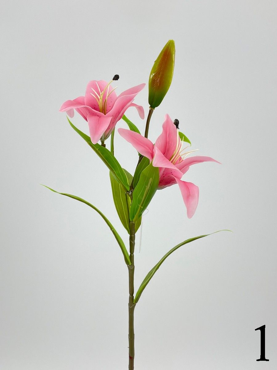 Лилия FL-QH006  Интернет-магазин Feron Flower 
