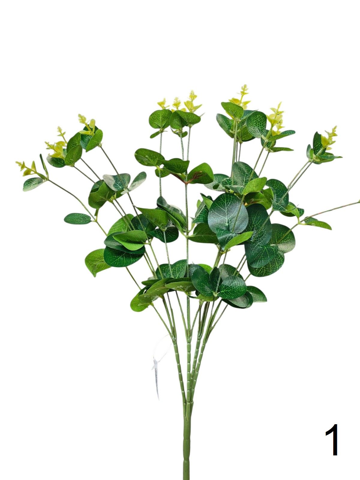 Эвкалипт 0016-1289  Интернет-магазин Feron Flower 