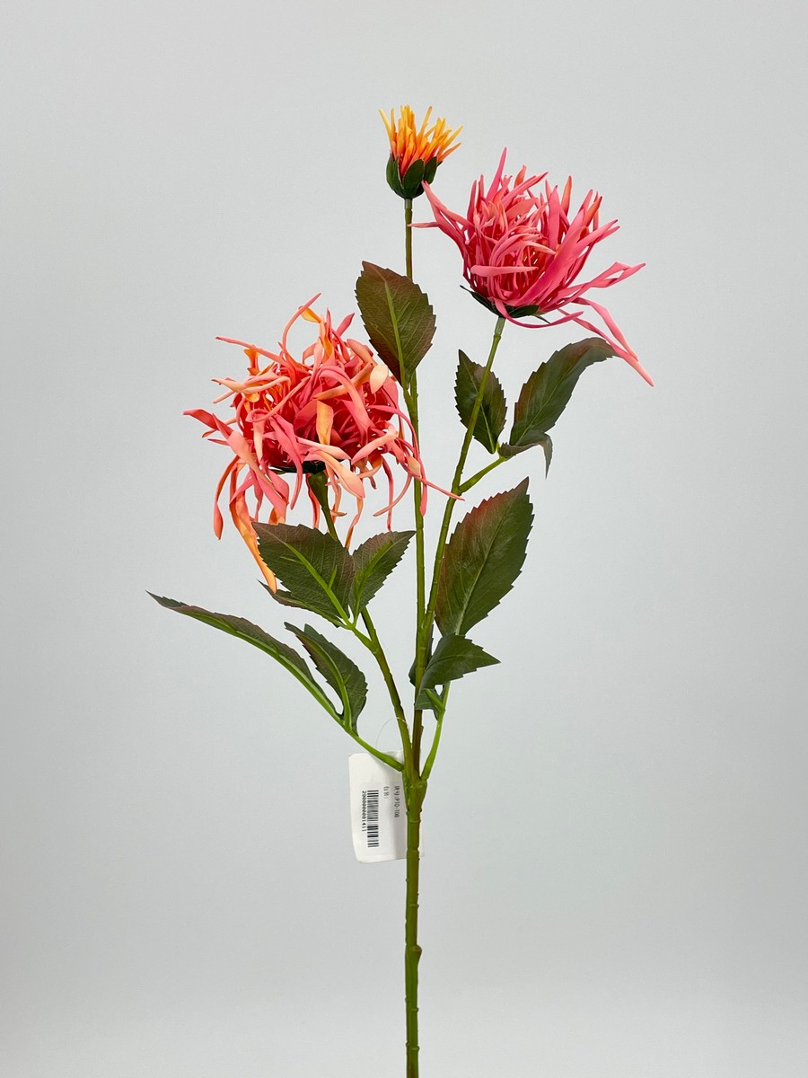 Хризантема PIO-108  Интернет-магазин Feron Flower 