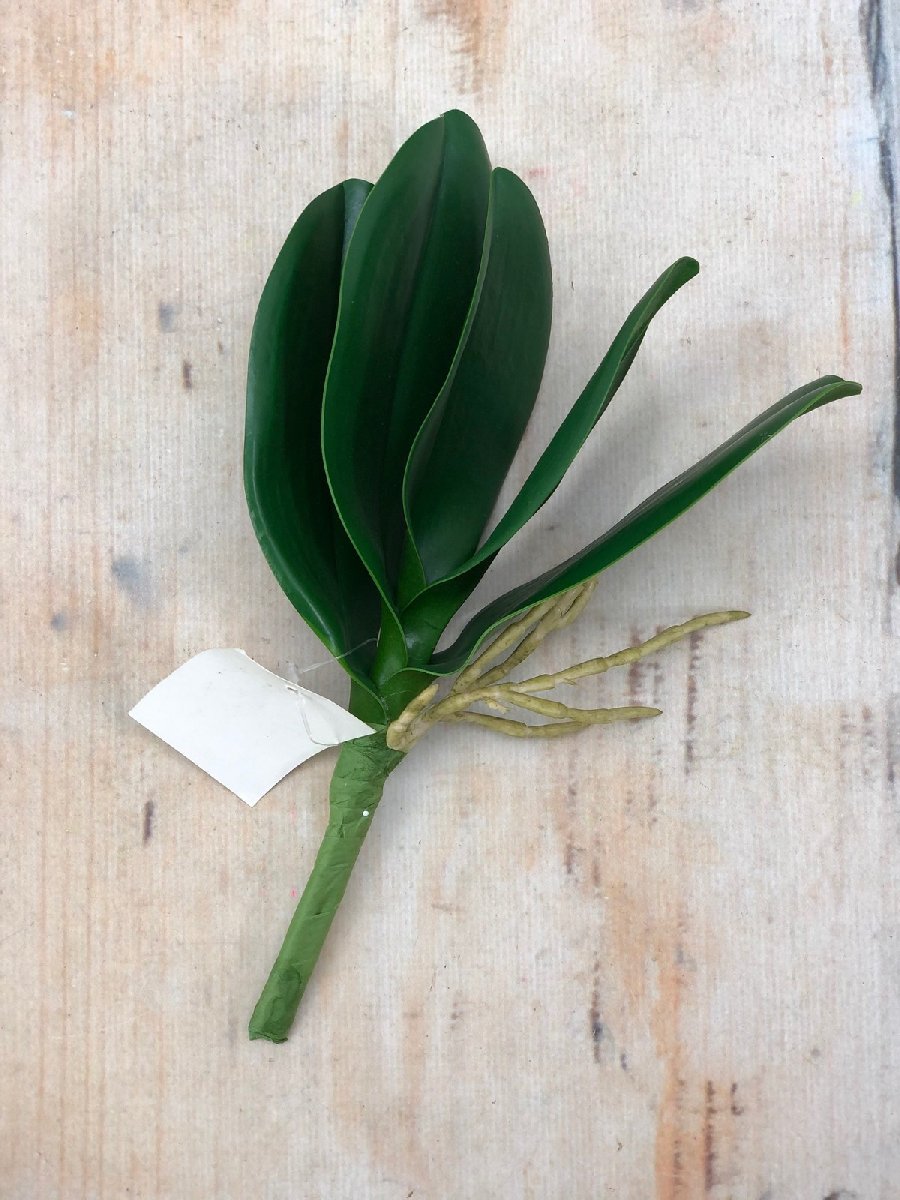 Лист LI00377  Интернет-магазин Feron Flower 