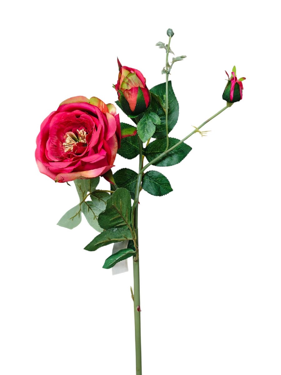 Роза GL03342  Интернет-магазин Feron Flower 
