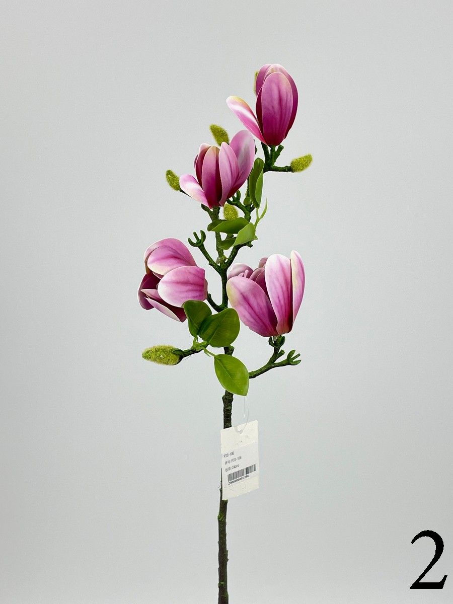 Магнолия PIO-106  Интернет-магазин Feron Flower 