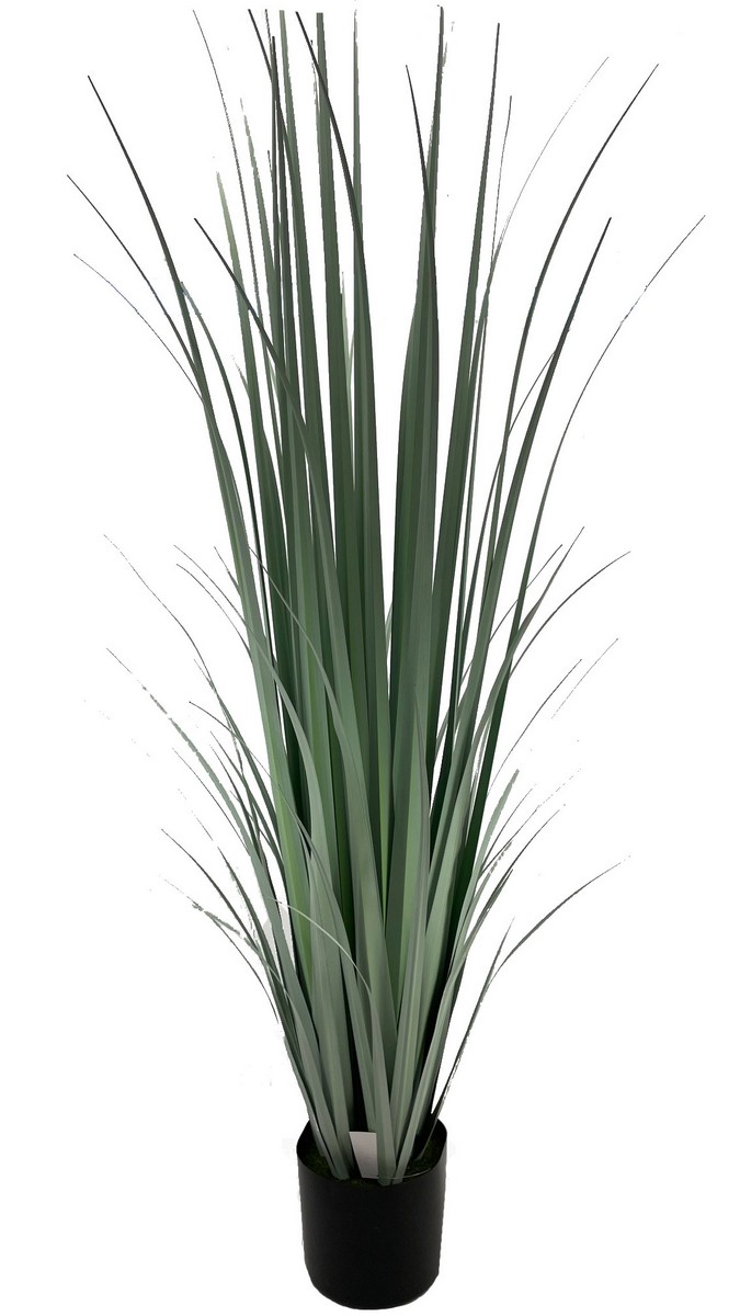 Осока в горшке 7256-WH5  Интернет-магазин Feron Flower 