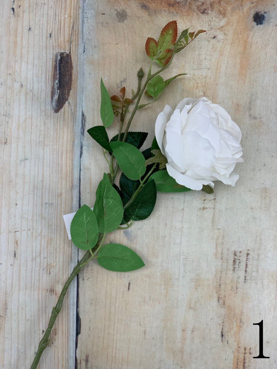 Роза ART221  Интернет-магазин Feron Flower 