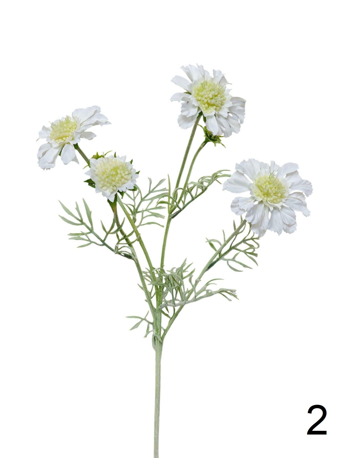 Космея 9144-1399  Интернет-магазин Feron Flower 