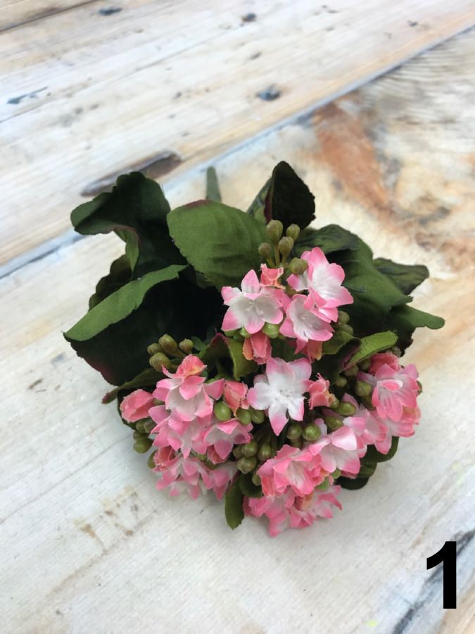 Каланхоэ 188CAN88180  Интернет-магазин Feron Flower 