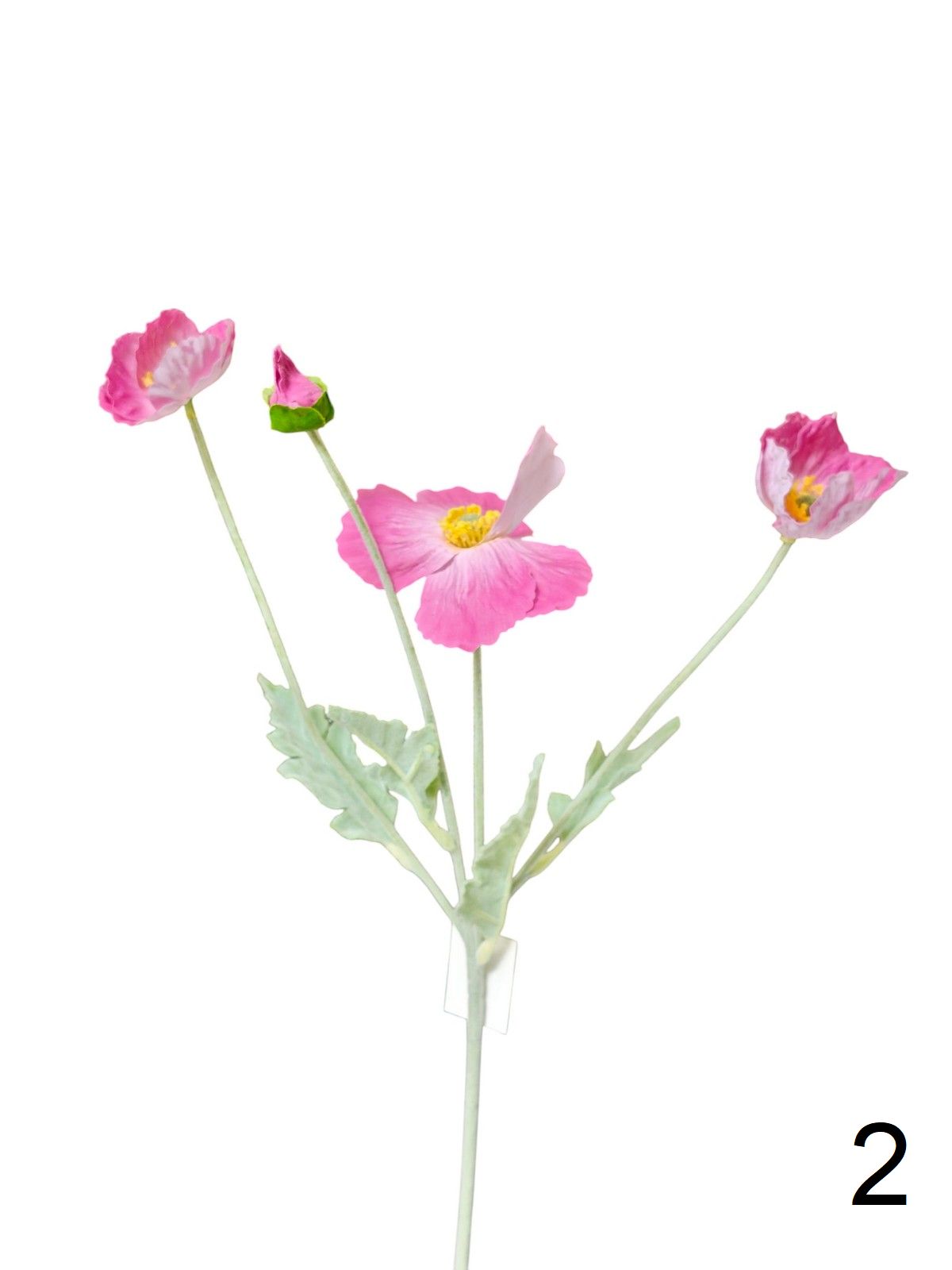 Мак 9144-1318  Интернет-магазин Feron Flower 