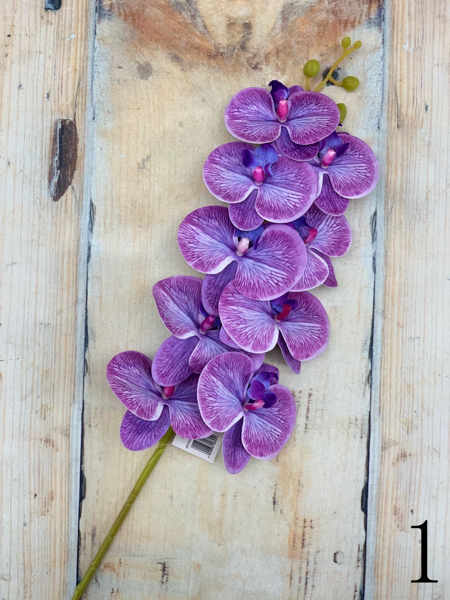 Орхидея AJ48131  Интернет-магазин Feron Flower 