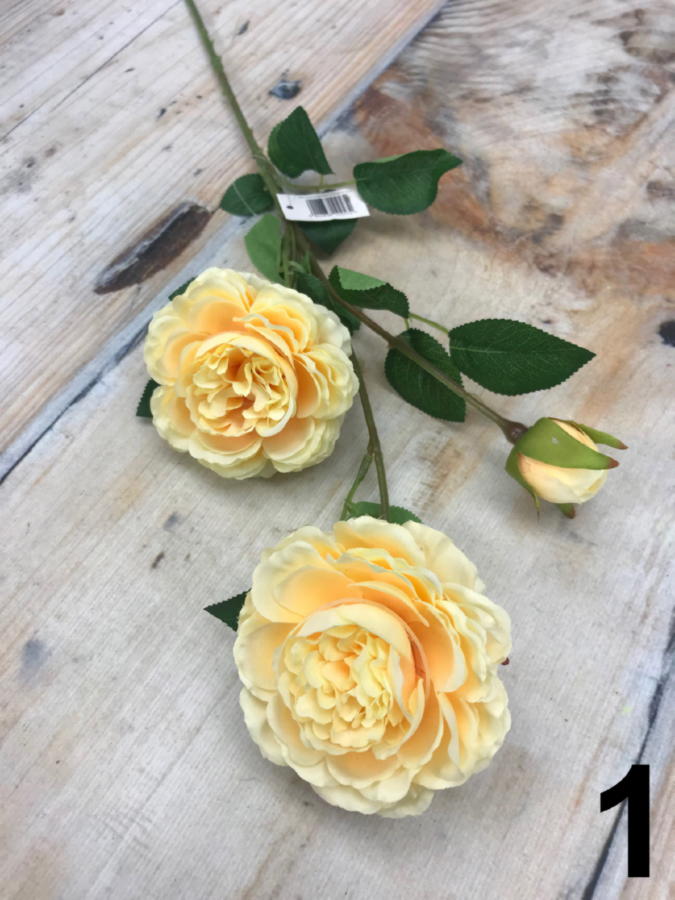 Роза YJ001  Интернет-магазин Feron Flower 