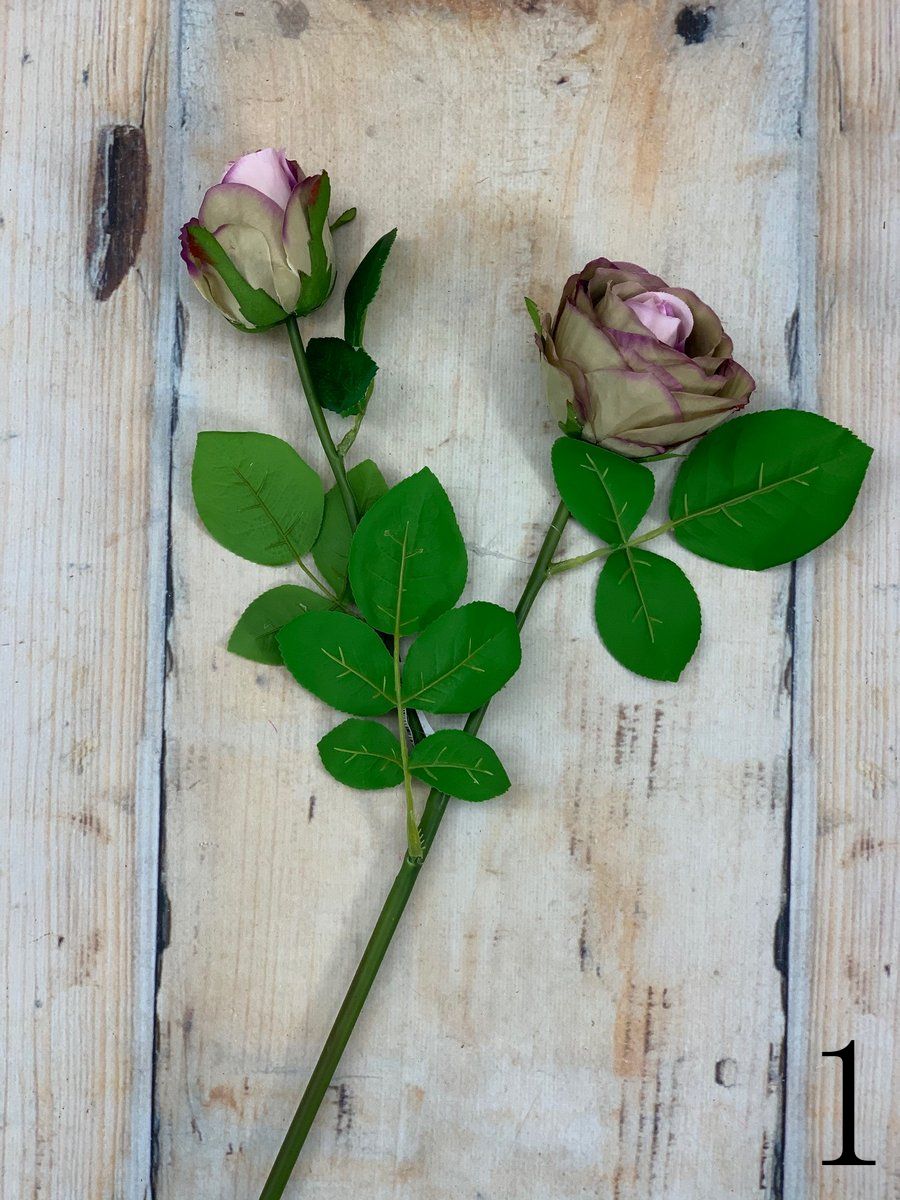 Роза GK329  Интернет-магазин Feron Flower 