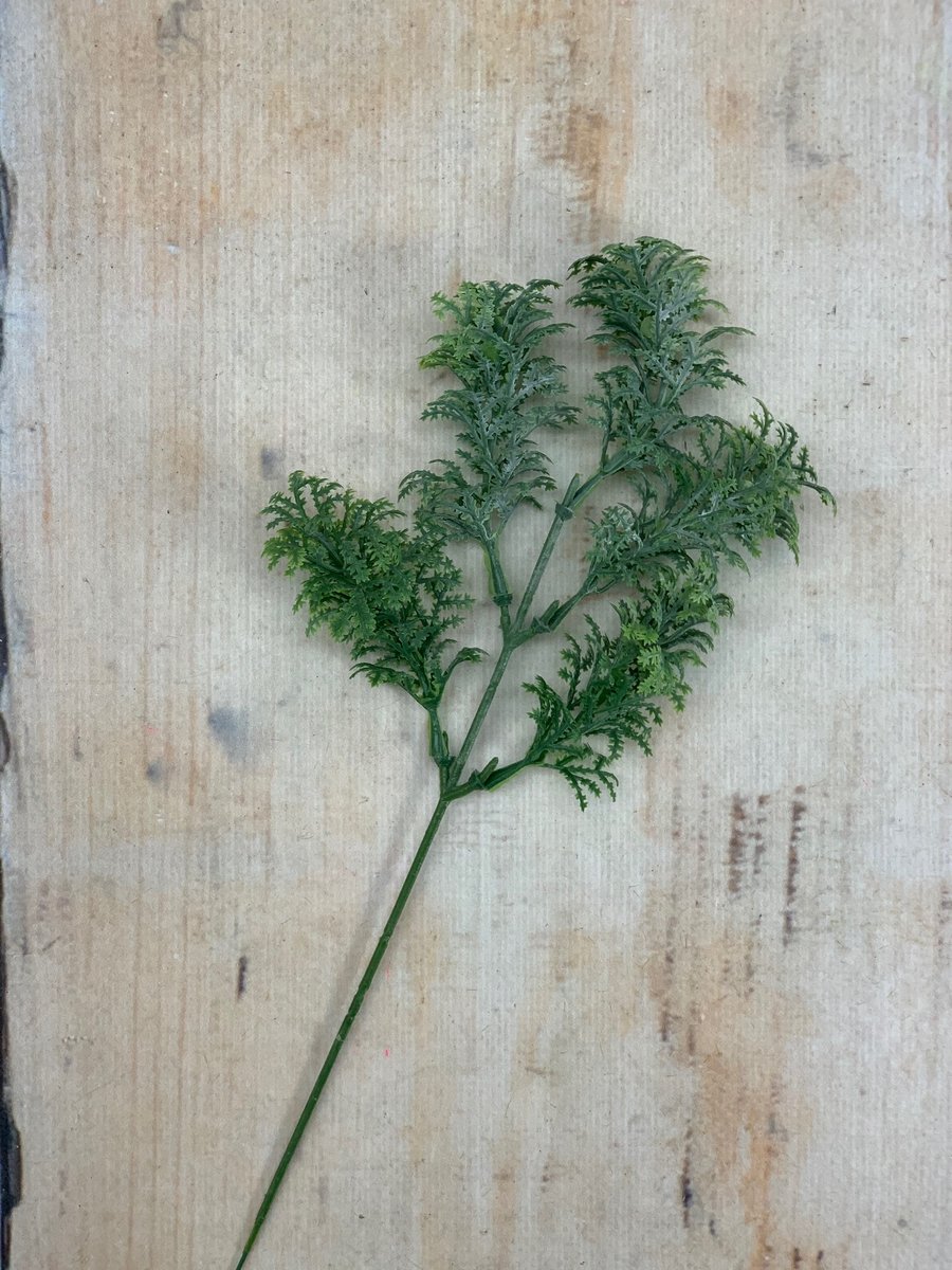 Эвкалипт TIK044  Интернет-магазин Feron Flower 