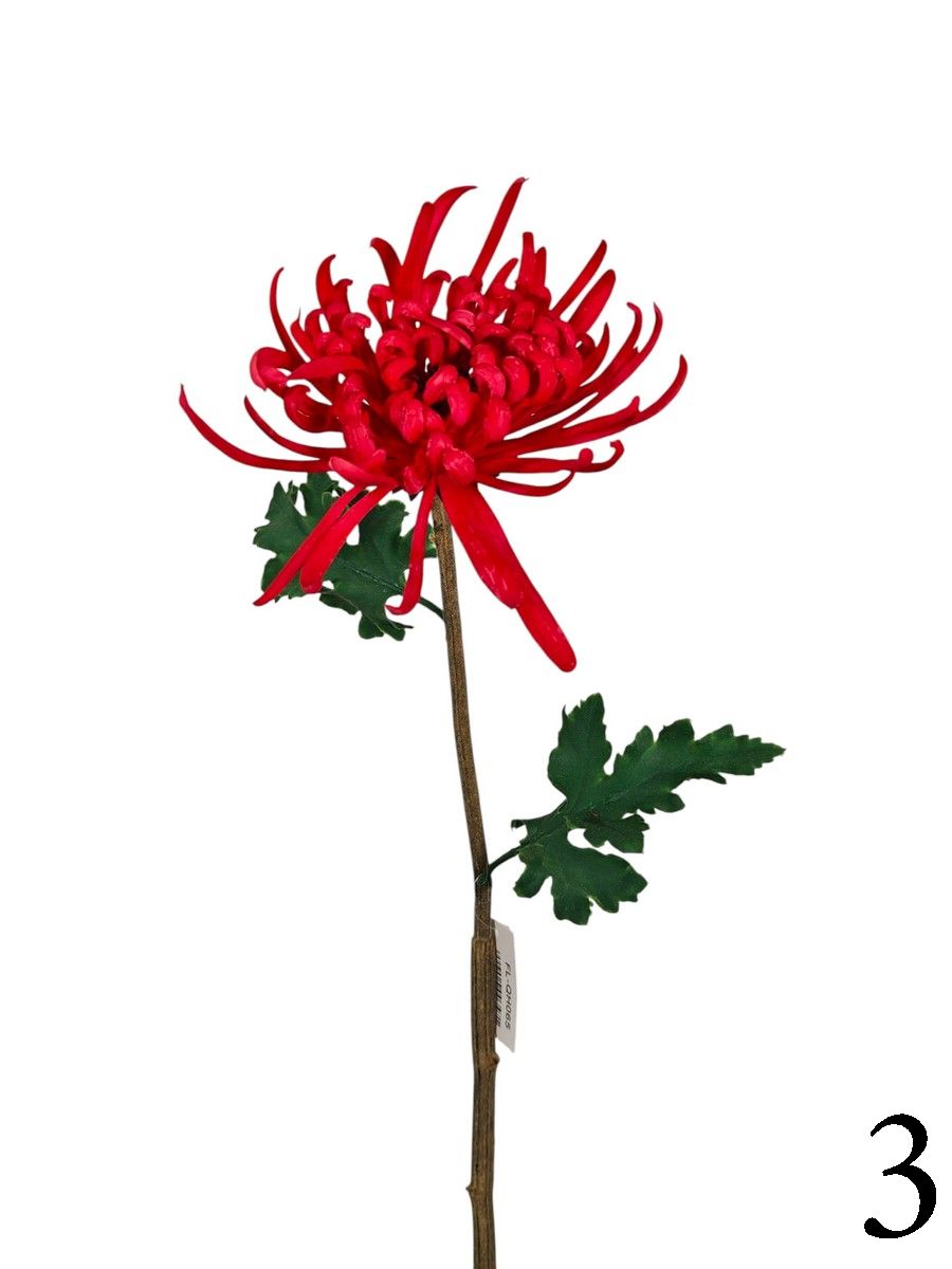 Хризантема FL-QH065  Интернет-магазин Feron Flower 