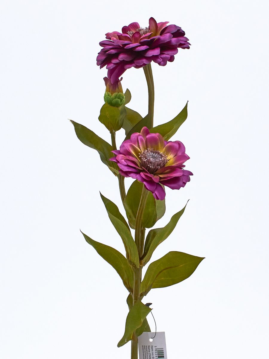 Циния SUN127  Интернет-магазин Feron Flower 