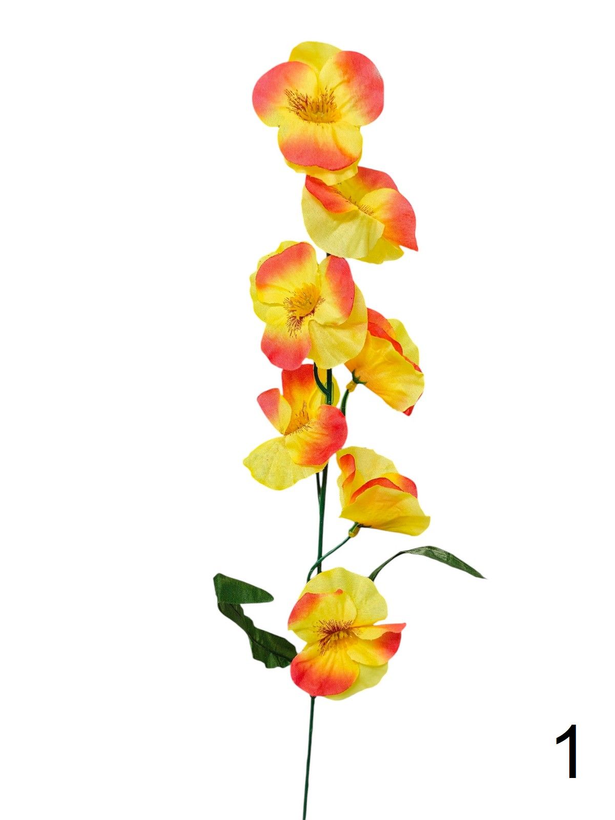 Фиалка K023E  Интернет-магазин Feron Flower 
