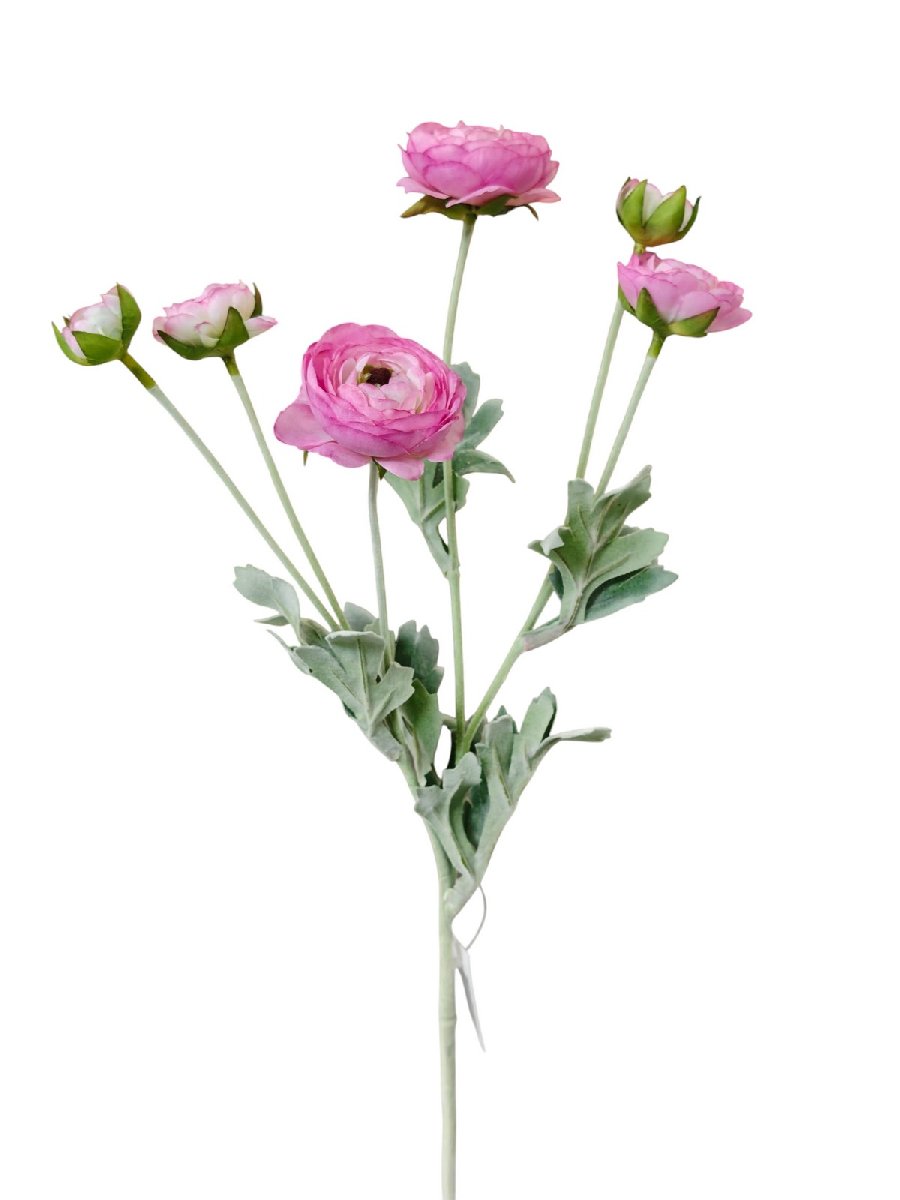 Рунункулус 9144-1330  Интернет-магазин Feron Flower 