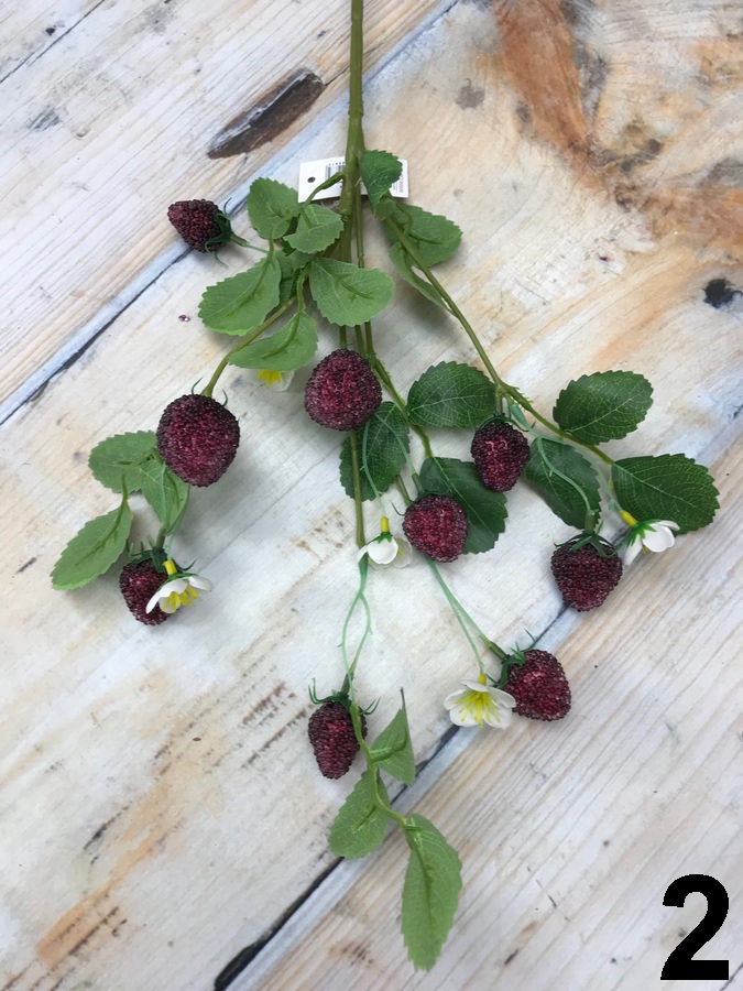 Клубника 148CAN016  Интернет-магазин Feron Flower 