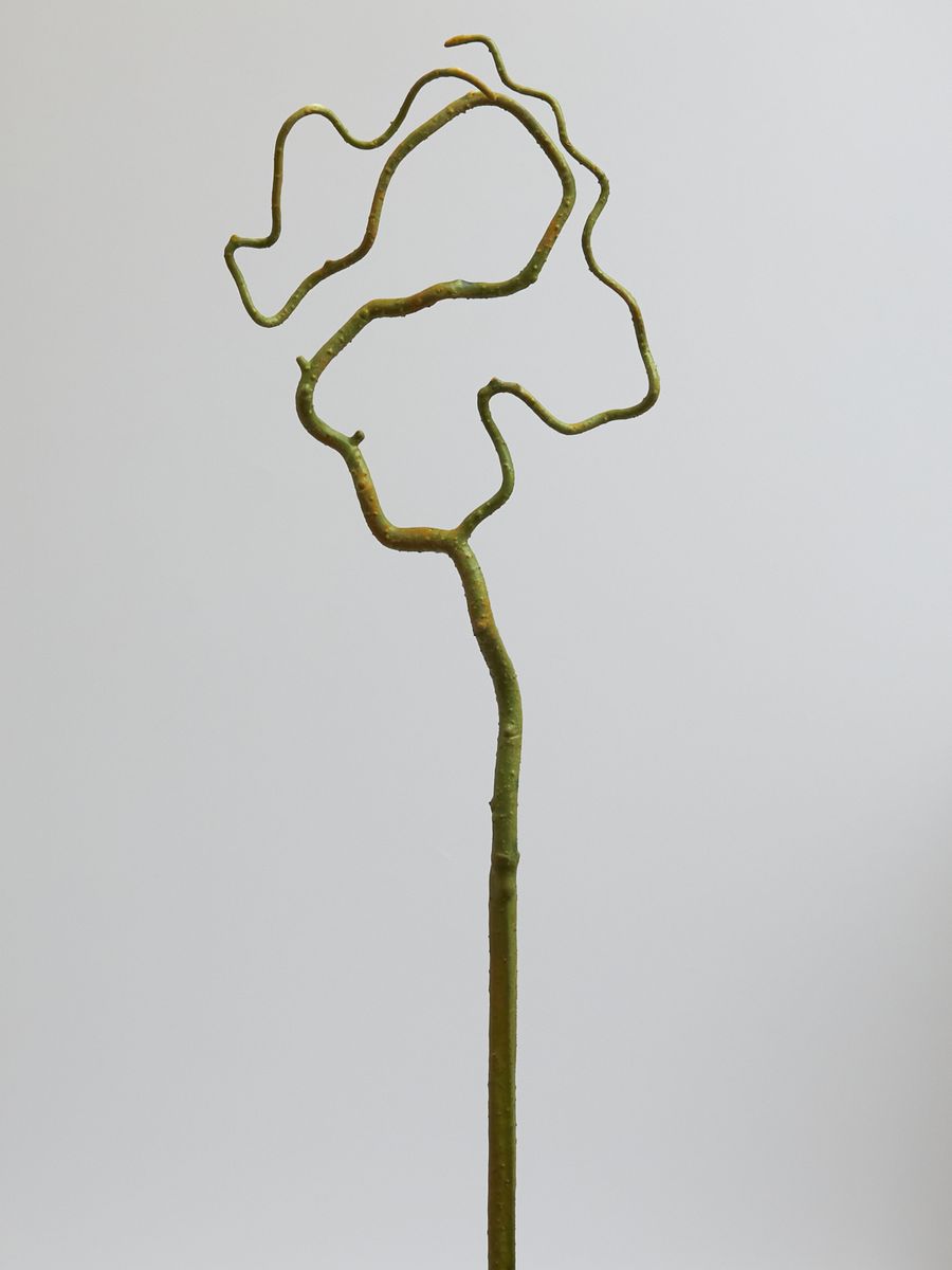 Корень ветка DK032  Интернет-магазин Feron Flower 