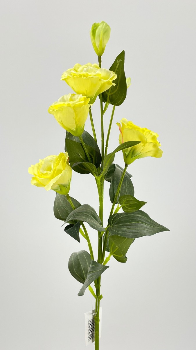Эустома FL-QH042  Интернет-магазин Feron Flower 