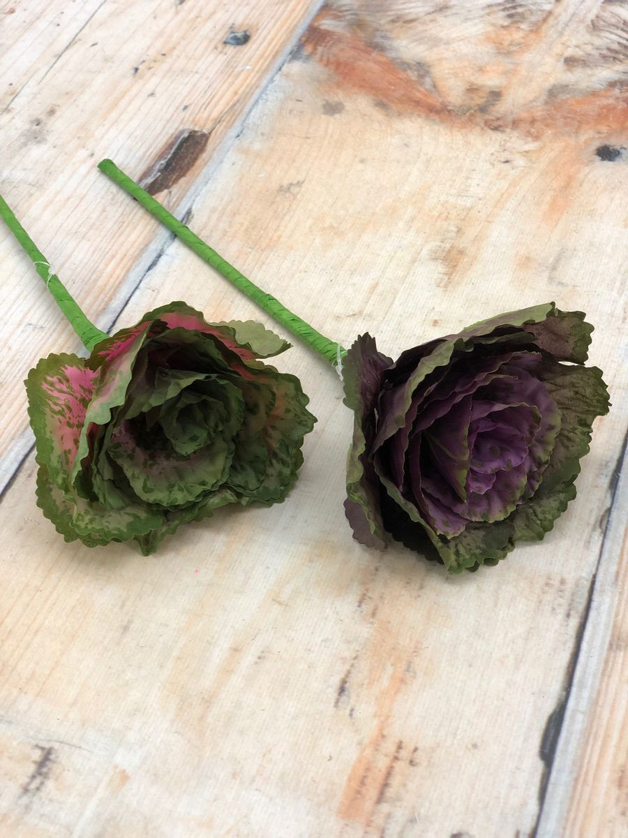 Капуста R801  Интернет-магазин Feron Flower 