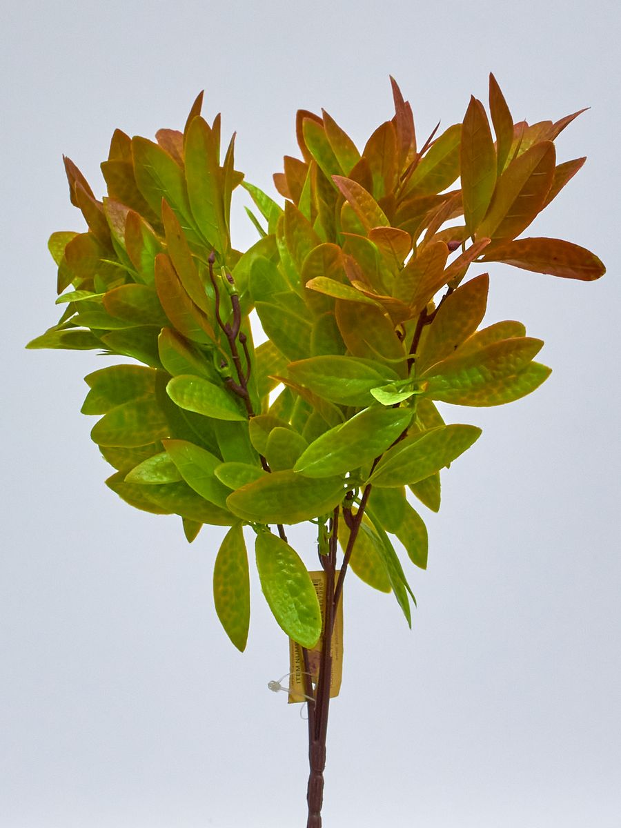 Ветка 21KW032  Интернет-магазин Feron Flower 