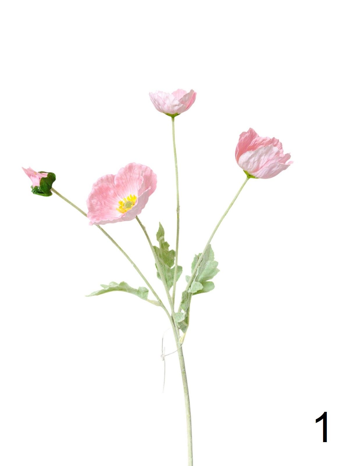 Мак 9144-1318  Интернет-магазин Feron Flower 