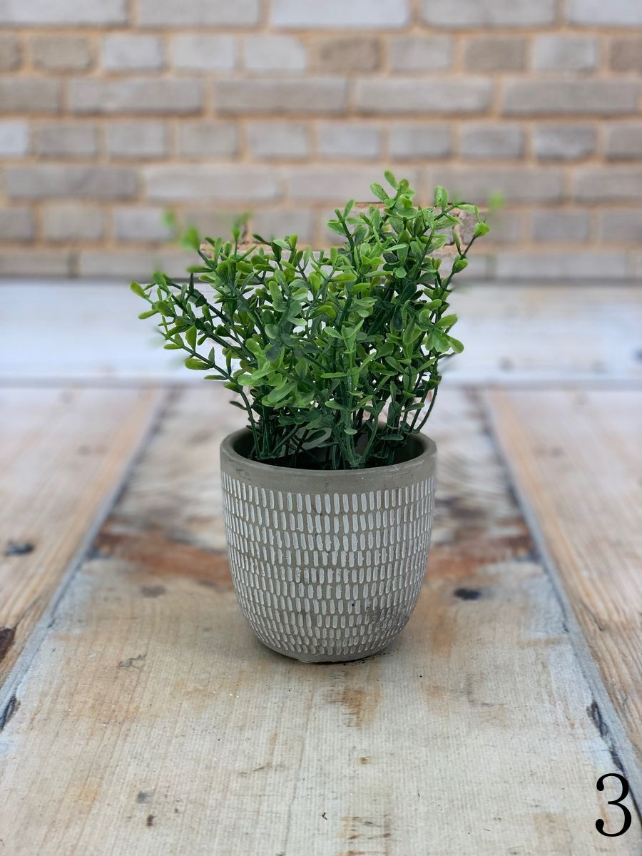 Зелень в горшке PD-562F  Интернет-магазин Feron Flower 